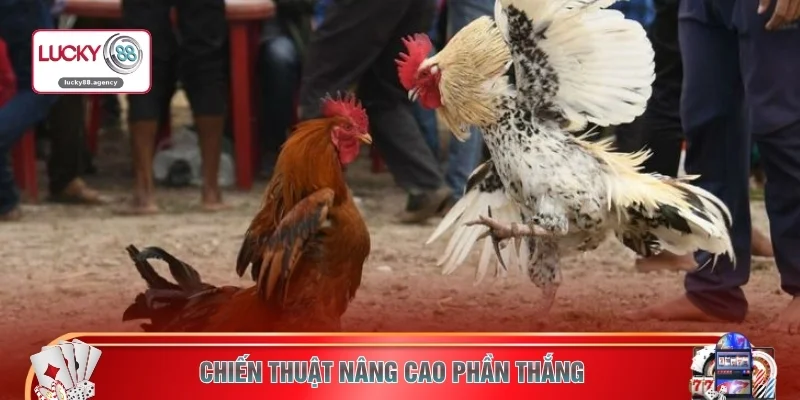 Chiến thuật nâng cao phần thắng 
