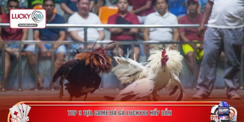 TOP 3 tựa game đá gà LUCKY88 hấp dẫn 